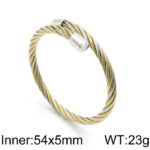 Wholesale Stainless 316 Steel Bangles