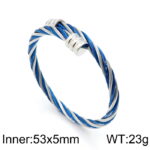 Wholesale Stainless 316 Steel Bangles