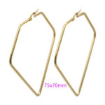 Wholesale Stainless 316 Steel Earrings, Fashion Jeweller
