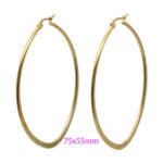 Wholesale Stainless 316 Steel Earrings, Fashion Jeweller