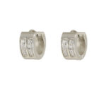 Wholesale Stainless 316 Steel Earring, Trendy Fashion Jewellery