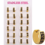 Wholesale Stainless 316 Steel Earring, Trendy Fashion Jewellery