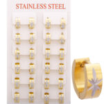 Wholesale Stainless 316 Steel Earring, Trendy Fashion Jewellery