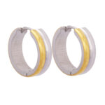 Wholesale Stainless 316 Steel Earring, Trendy Hot Jewellery