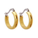 Wholesale Stainless 316 Steel Earring, Trendy Hot Jewellery