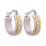Wholesale Stainless 316 Steel Earring, Trendy Hot Jewellery