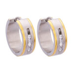 Wholesale Stainless 316 Steel Earring, Trendy Hot Jewellery