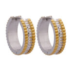Wholesale Stainless 316 Steel Earring, Trendy Hot Jewellery