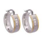 Wholesale Stainless 316 Steel Earring, Trendy Hot Jewellery