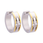 Wholesale Stainless 316 Steel Earring, Trendy Hot Jewellery