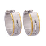 Wholesale Stainless 316 Steel Earring, Trendy Hot Jewellery