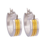 Wholesale Stainless 316 Steel Earring, Trendy Hot Jewellery