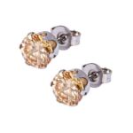 Wholesale Stainless 316 Steel Earring, Trendy Fashion Jewellery