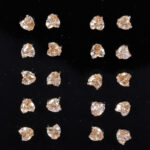 Wholesale Stainless 316 Steel Earring, Trendy Fashion Jewellery