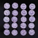 Wholesale Stainless 316 Steel Earring, Trendy Fashion Jewellery