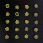 Wholesale Stainless 316 Steel Earring, Trendy Fashion Jewellery