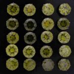 Wholesale Stainless 316 Steel Earring, Trendy Fashion Jewellery