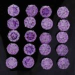 Wholesale Stainless 316 Steel Earring, Trendy Fashion Jewellery