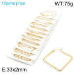 Wholesale Stainless 316 Steel Earrings