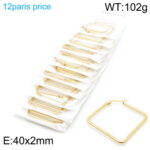 Wholesale Stainless 316 Steel Earrings