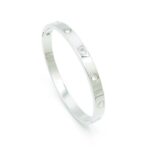 Wholesale Stainless 316 Steel Bangles